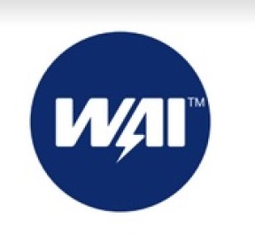 WAI LOGO